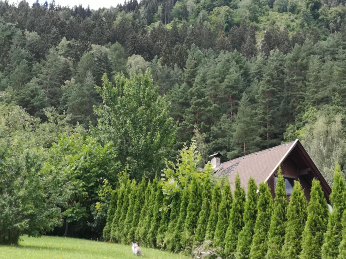 Villa Karnten ラーデンタイン エクステリア 写真