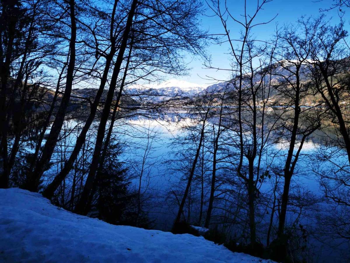 Villa Karnten ラーデンタイン エクステリア 写真